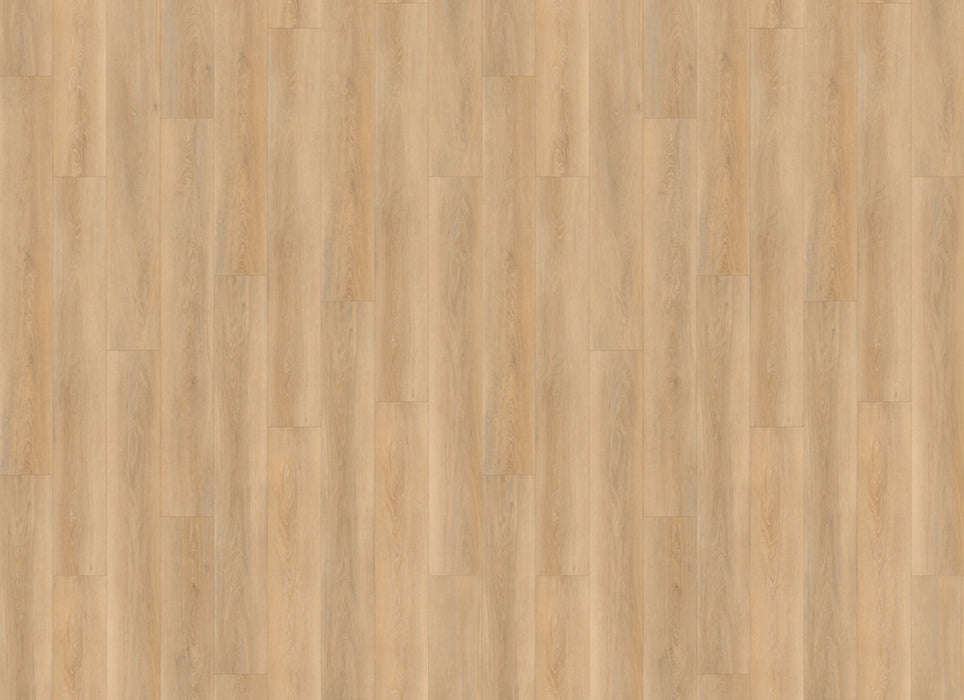 Grandeur Collection in Harvest