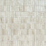 Gleeze in Beige 2x6 Tile