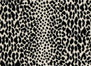 Gotham Cheetah in Onyx Carpet