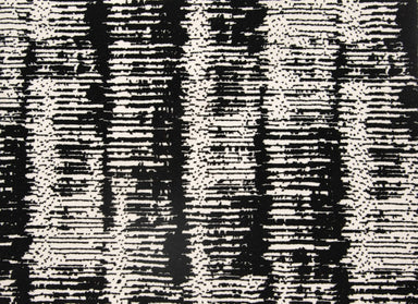 Gotham Vanish in Onyx Carpet