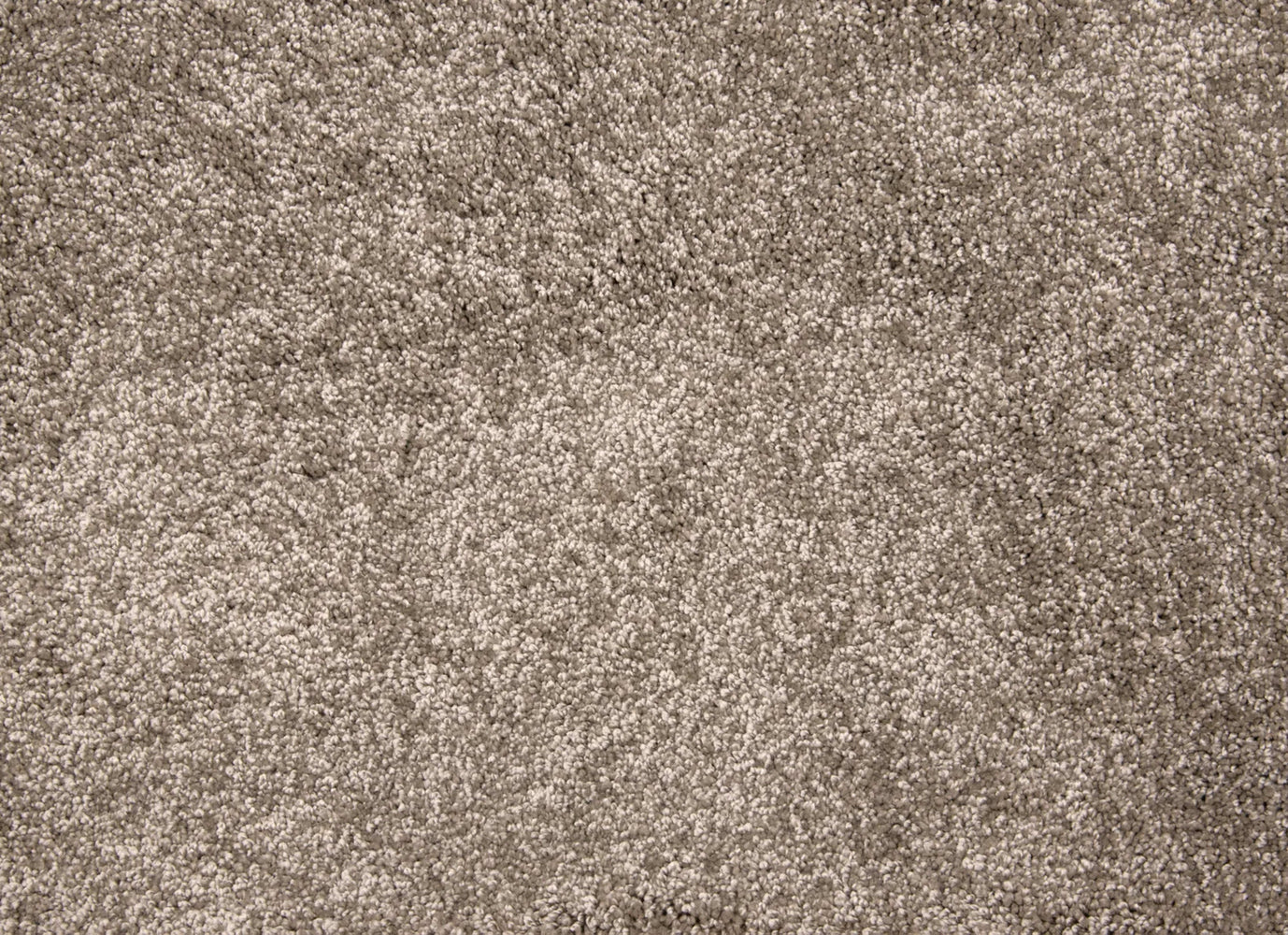 Grail in Mocha Carpet