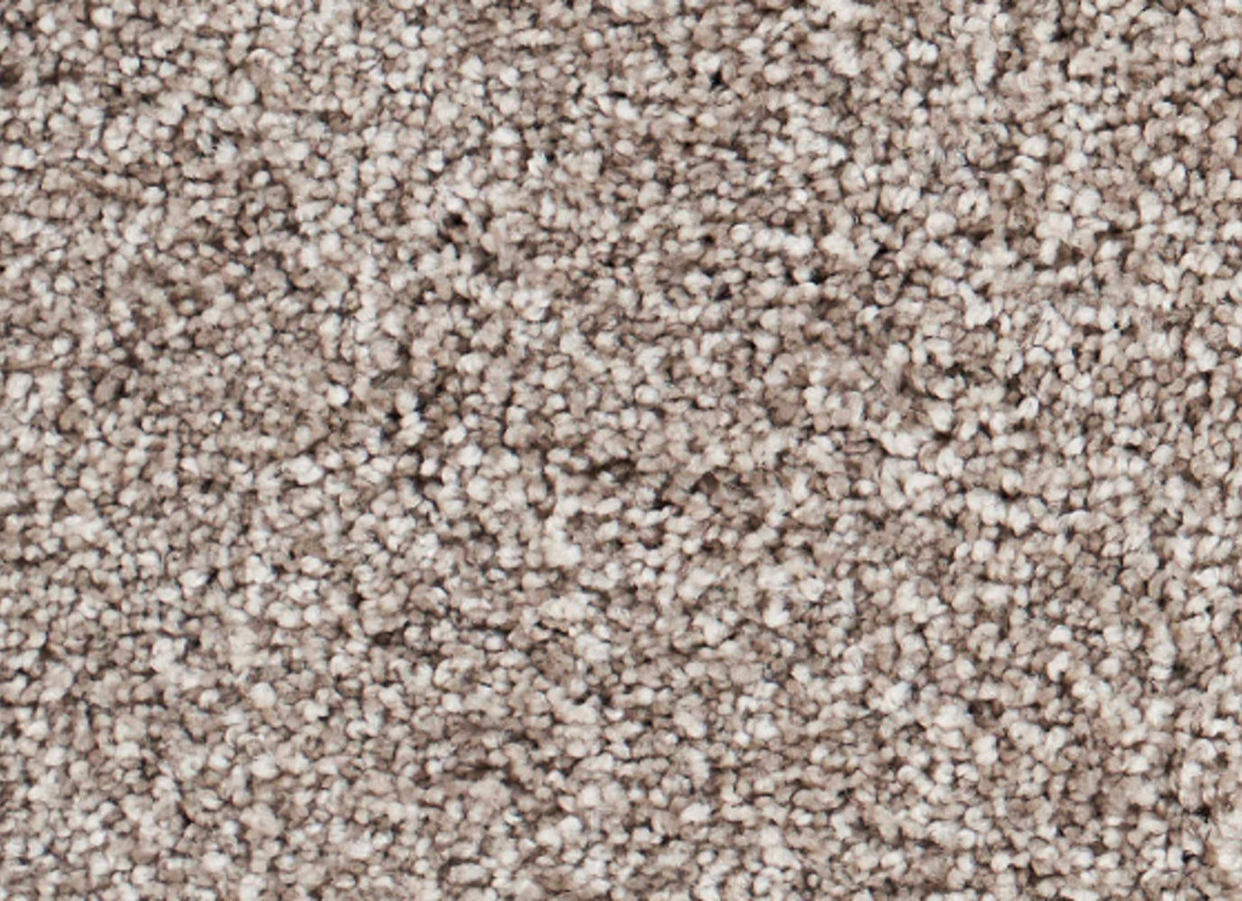 Grand Escape Tweed in Madison Carpet