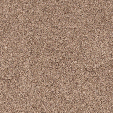 Bark