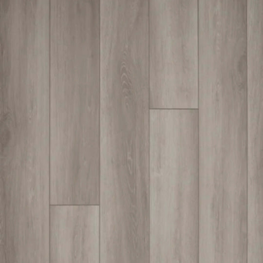 7 Series - Grove in River Bed