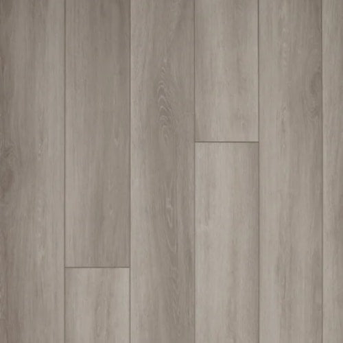 7 Series - Grove in River Bed