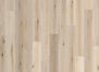 Sea Harbor Collection in Abalone
