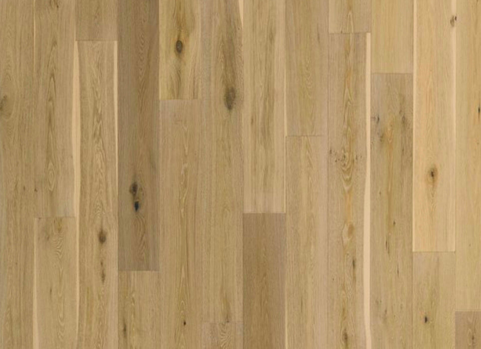 Sea Harbor Collection in Perla
