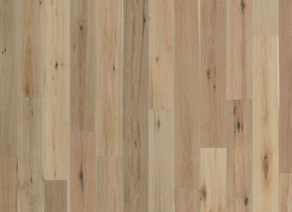 Sea Harbor Collection in Grano Seco