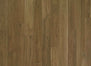 Sea Harbor Collection in Tuscan Sun