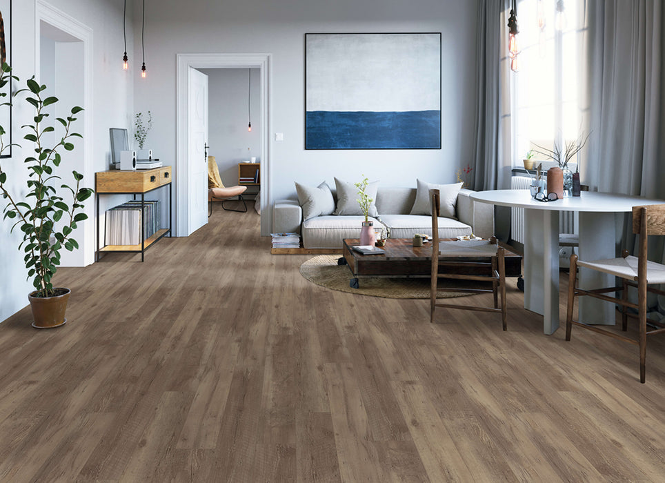 All Star in European Oak