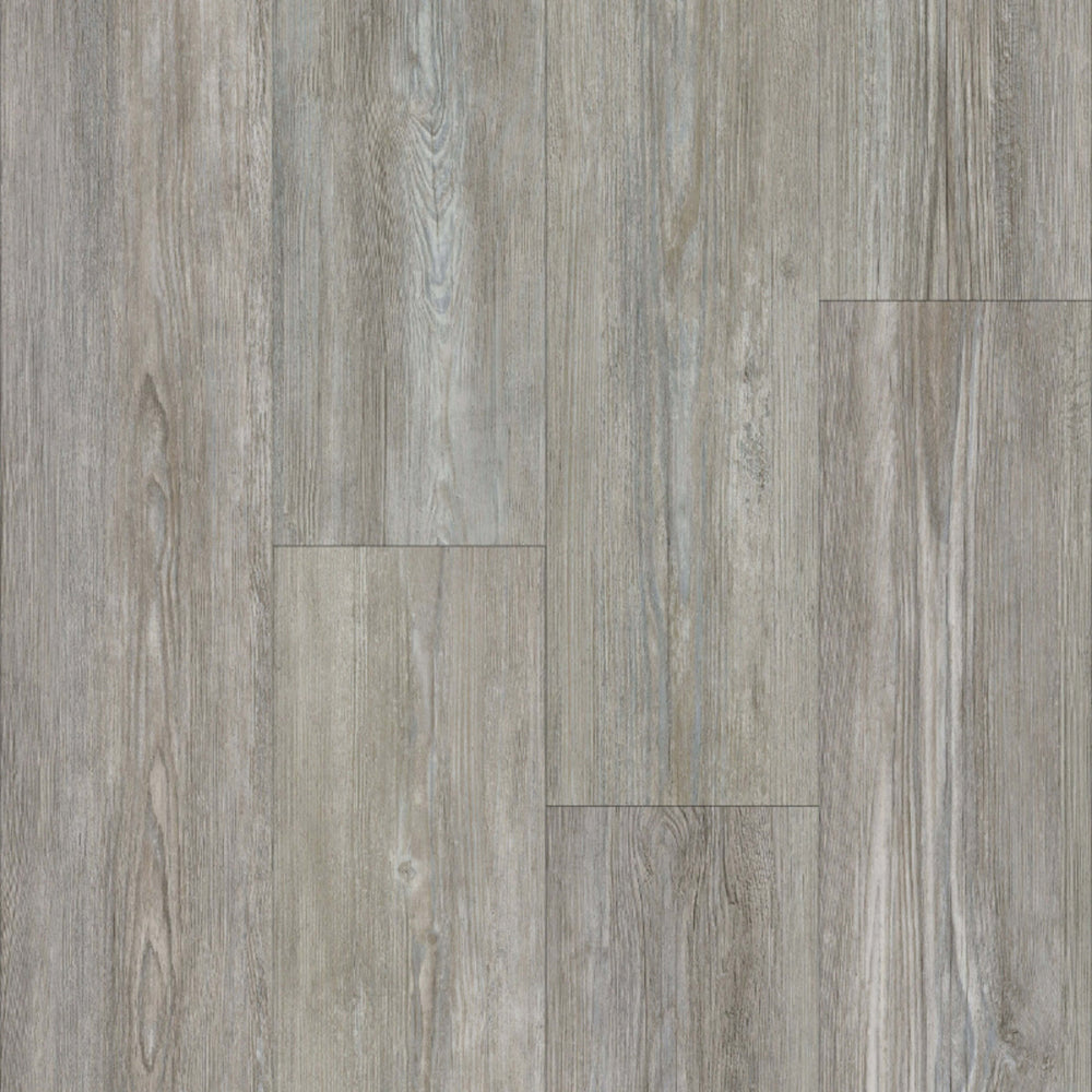 Dynamite Plus in Winterhaven Luxury Vinyl