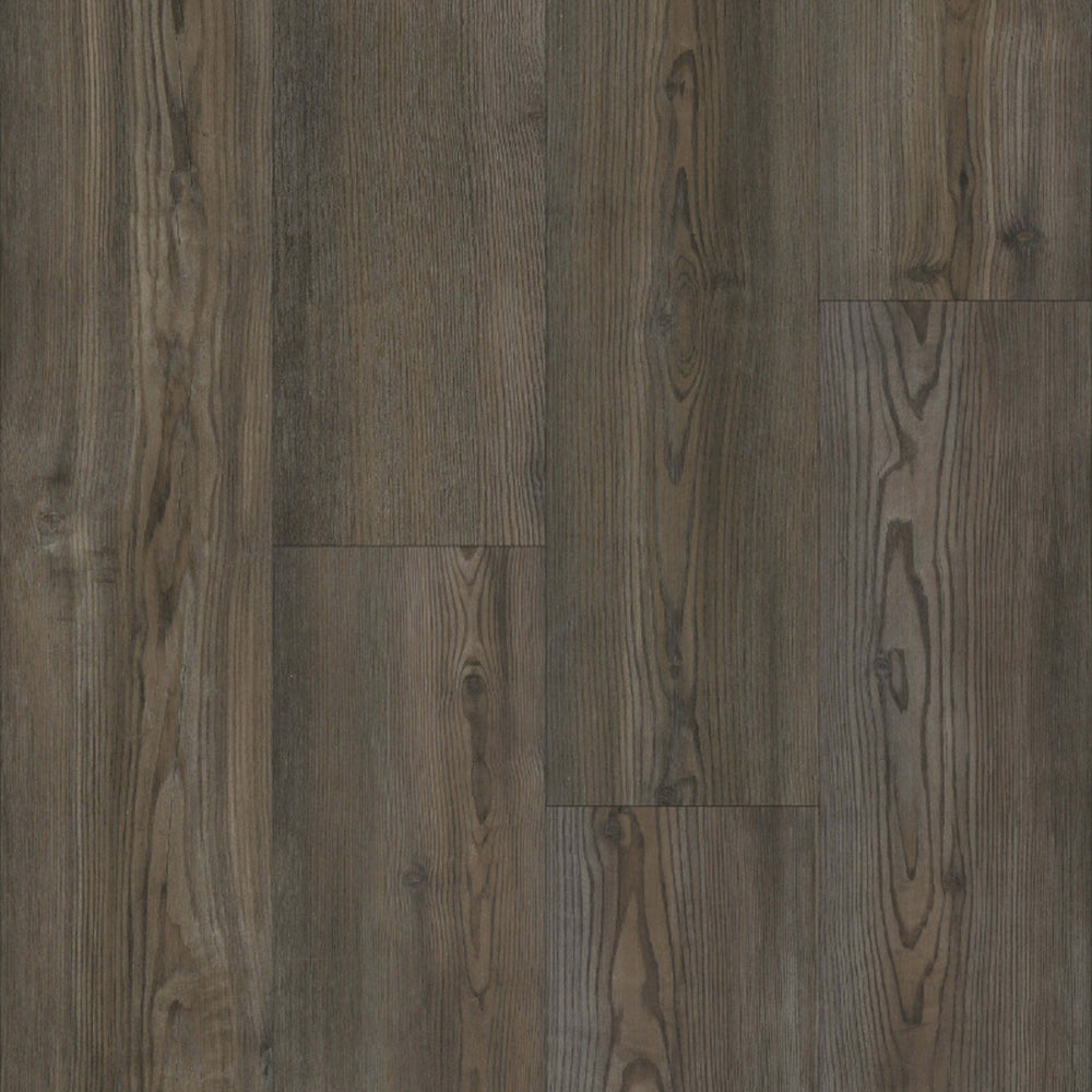 Dynamite Plus in Ponderosa Luxury Vinyl