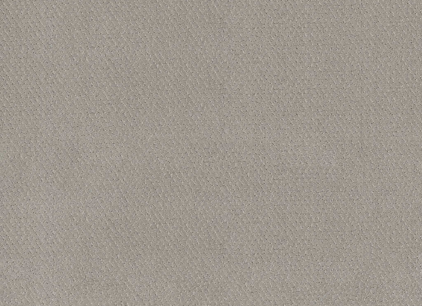LAWSON SPRINGS in Gravity Carpet