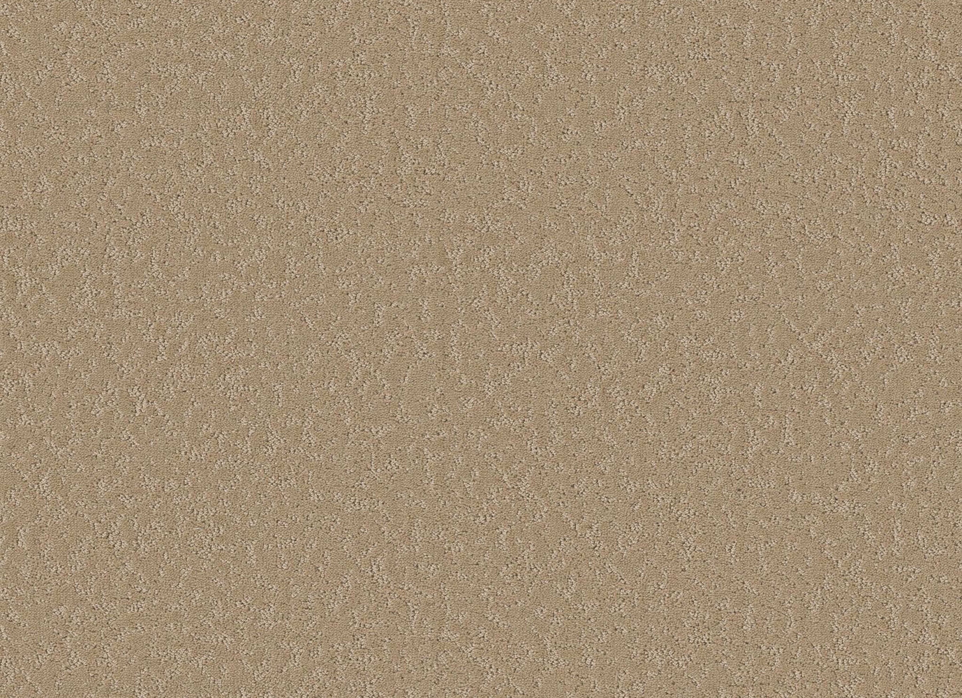 EXPERT CHOICE in Worn  Path Carpet