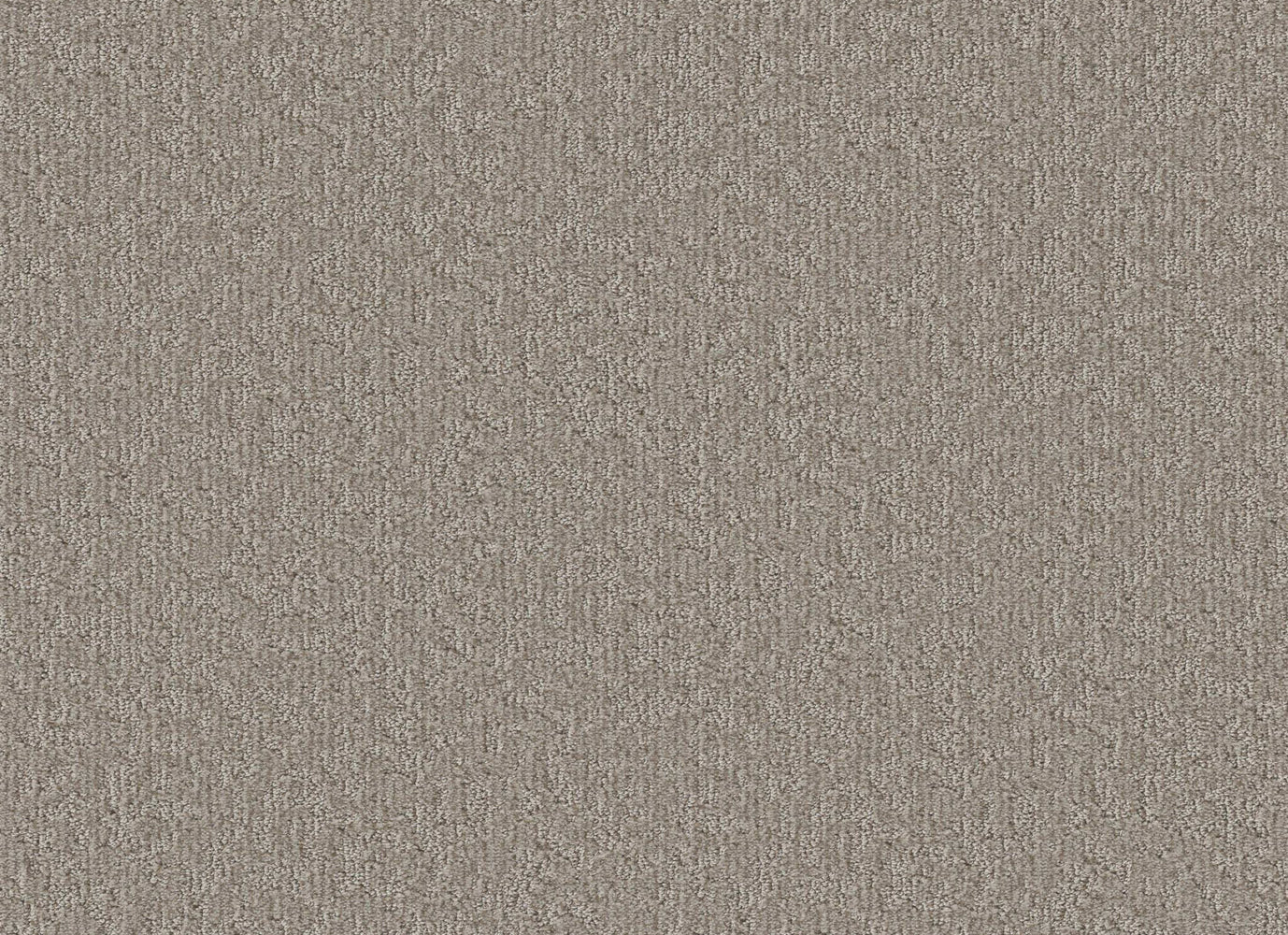 GIFTED BLEND in Chic Greige Carpet