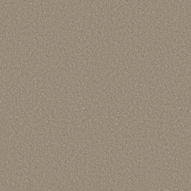 ARCADIAN SHORES in On The Edge Carpet