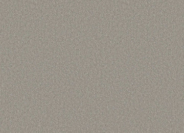 Still Gray