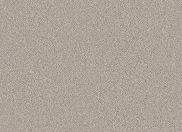 Chic Taupe