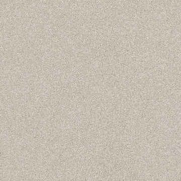 Shoreline Haze (S)