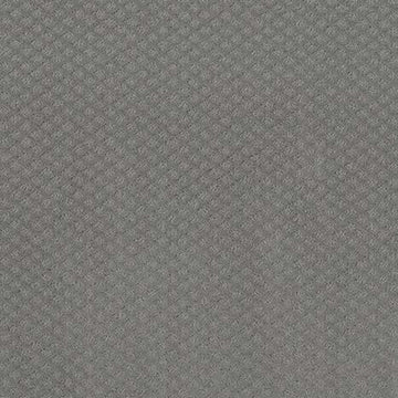 Grey Fox
