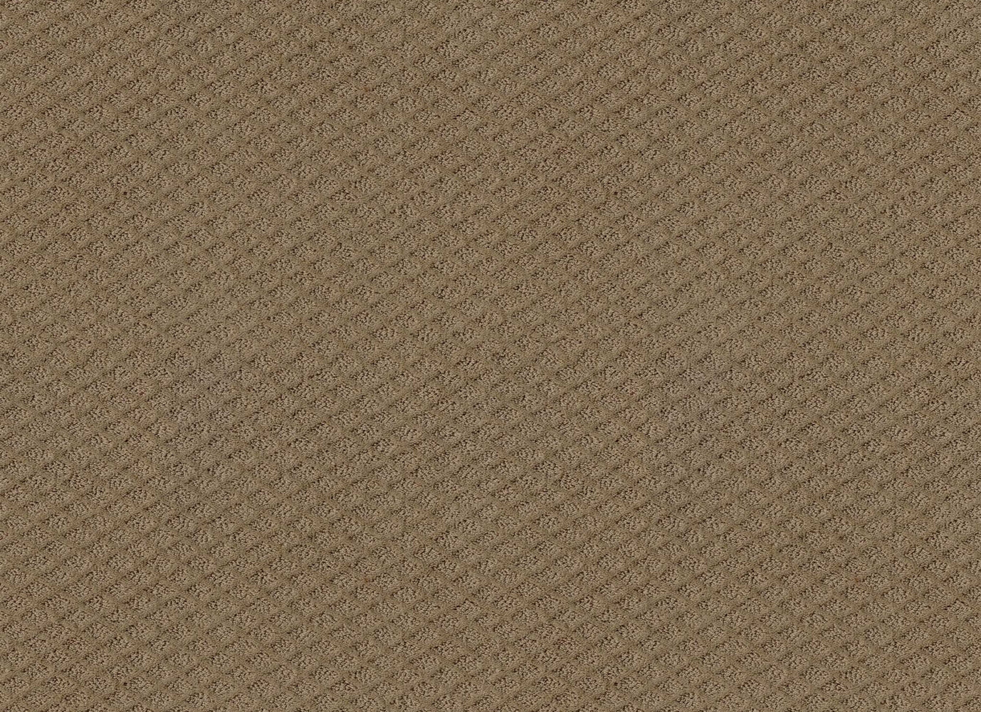 JUBILATION in Raw Wood Carpet