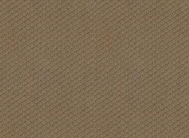 JUBILATION in Raw Wood Carpet