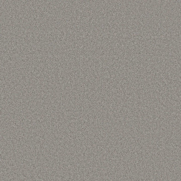 Grey Fox