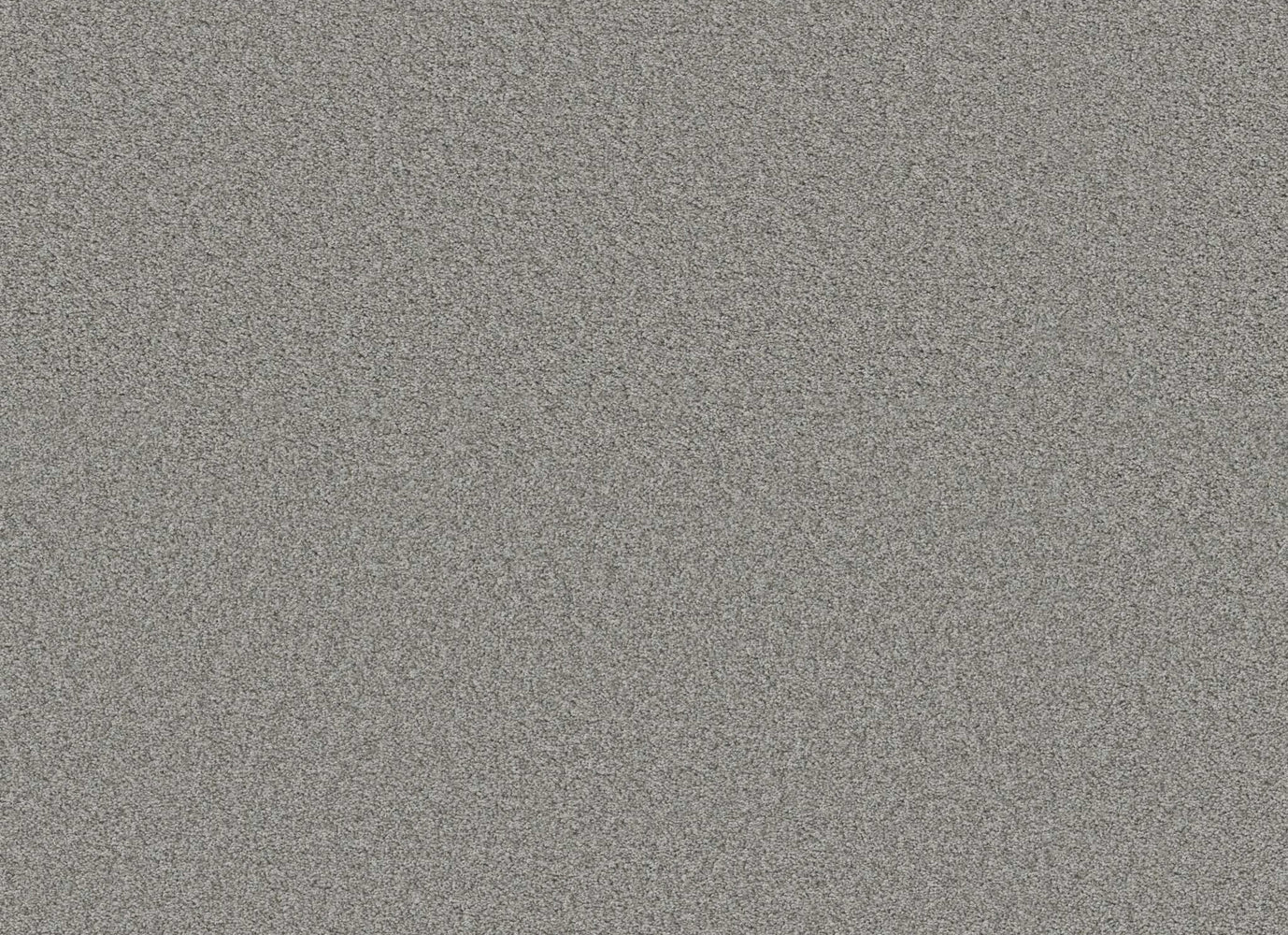 FRASER COAST I in Sentimental Carpet