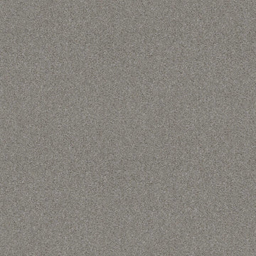 Steel