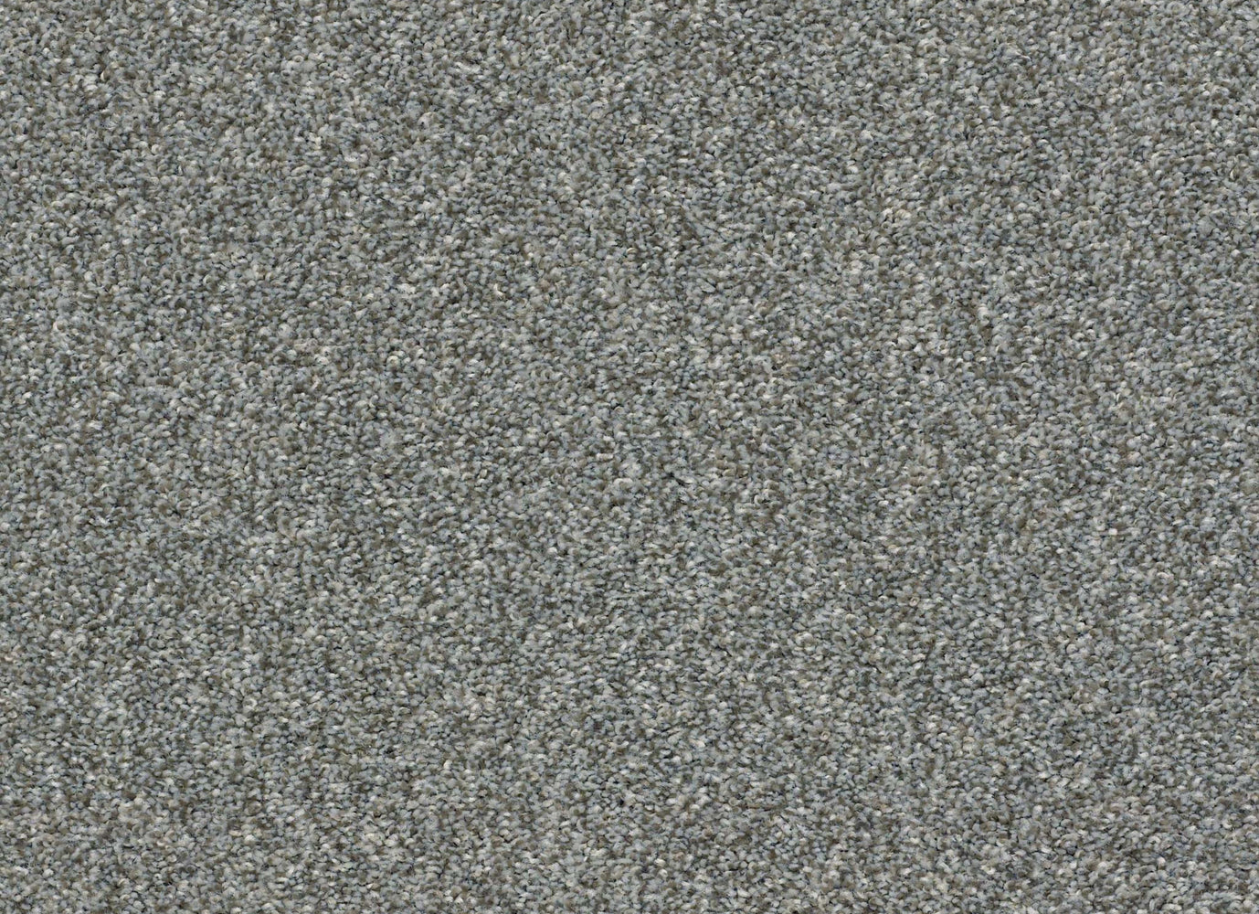 FRESH OUTLOOK in Dolphin Carpet