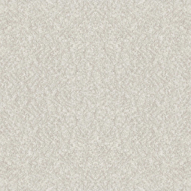 APPEALING CHARM in Gallery Opening Carpet