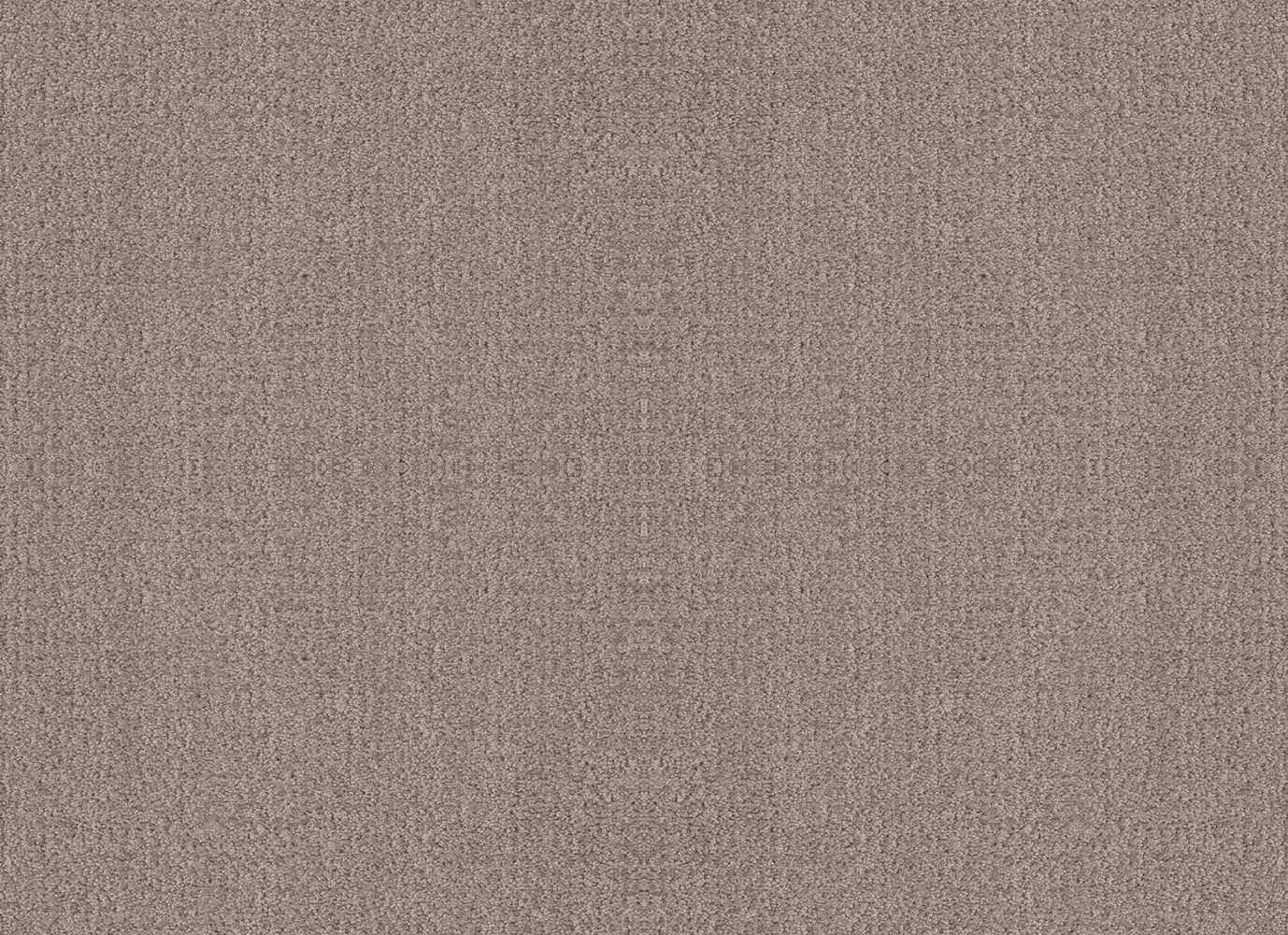 BRIGHT VISION in Fossil Path Carpet