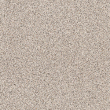 Parchment