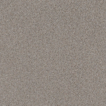 Touch Of Gray