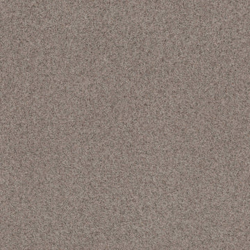 Pewter Taupe
