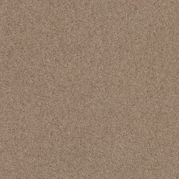 Pebble