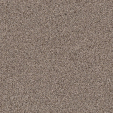 Frosted Mocha