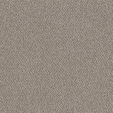 Dove Feather(A)