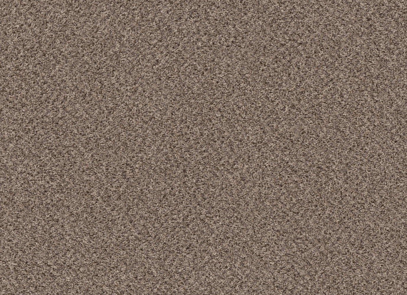 ESSENTIAL ART (A) in Primitive(A) Carpet