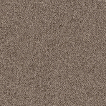 Primitive(A)
