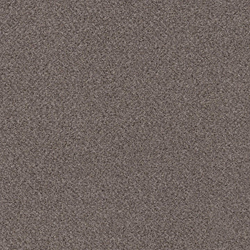 Nomadic Desert(A)