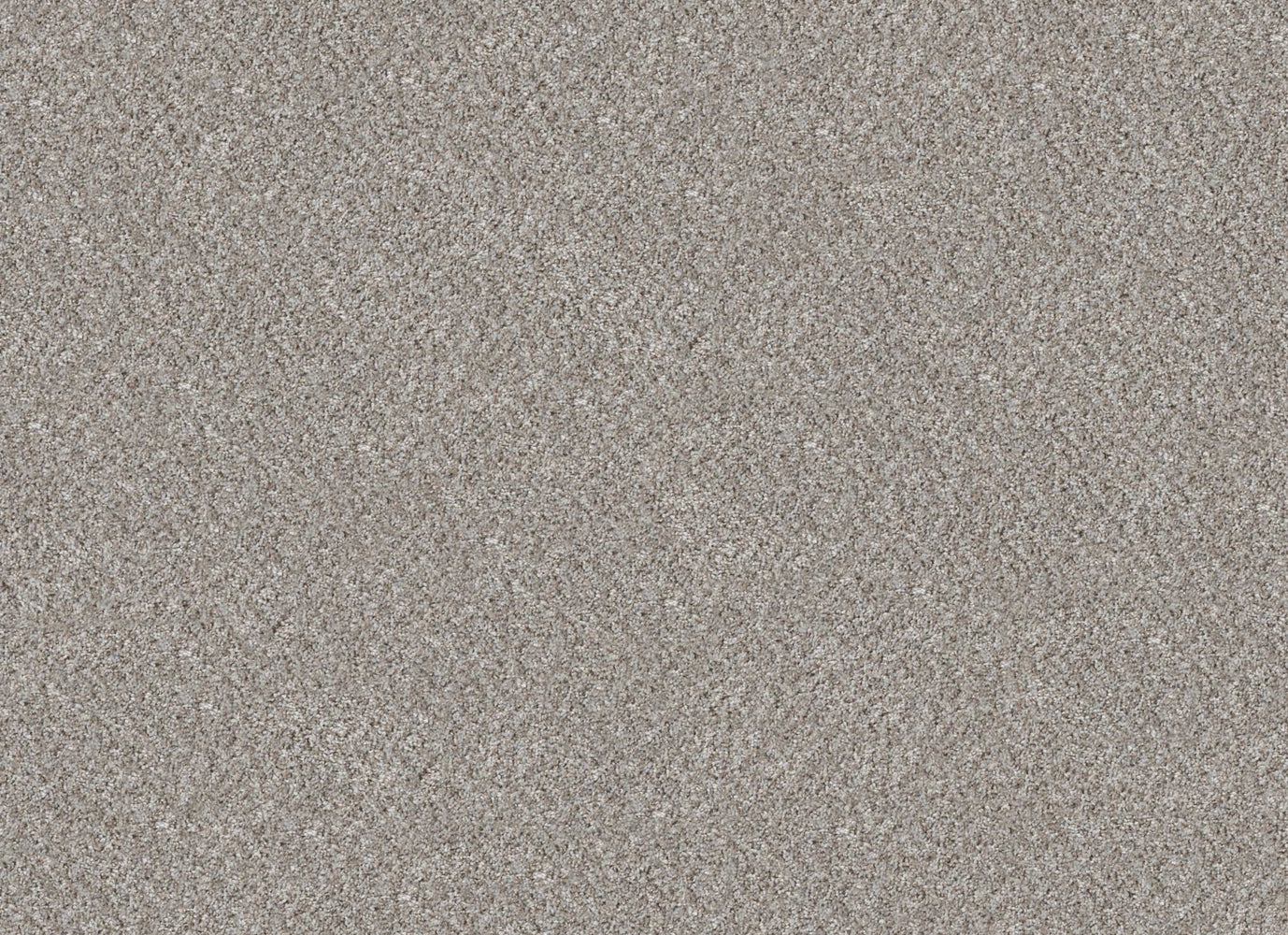 ESSENTIAL ART (T) in Quill Grey(T) Carpet