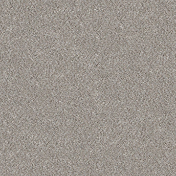 Quill Grey(T)