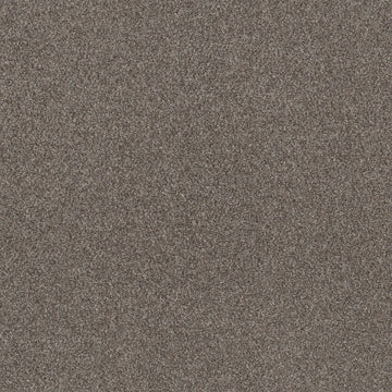 Mega Taupe
