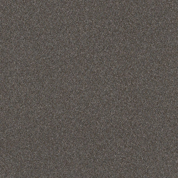 Gauntlet Gray