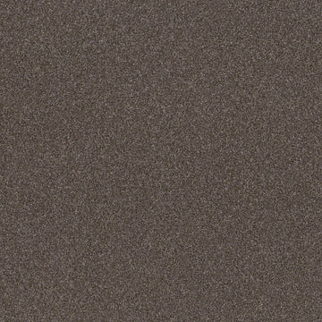 Folkstone