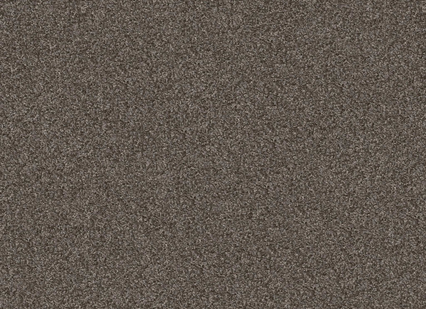 DESERT SPRINGS in Smoke Embers Carpet