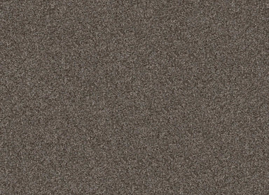 DESERT SPRINGS in Smoke Embers Carpet