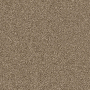 Warm Wood