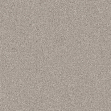 Silver Mist